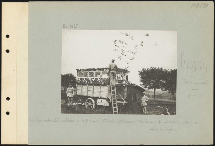 Crugny (près et au sud). Colombier automobile militaire de la 10e armée (numéro T.24, 5 et 29). Remorque T.24 et baraque du colombophile. Lâcher d'un peloton de pigeons