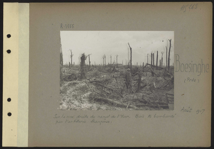 Boesinghe (près). Sur la rive droite du canal de l'Yser. Bois 16 bombardé par l'artillerie française