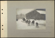 La Schlucht (près de). Traîneau chargé de bois traîné par des chiens d'Alaska