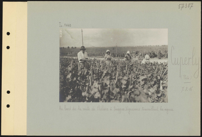 Cuperly (près). Au bord de la route de Châlons à Suippes. Vignerons travaillant les vignes
