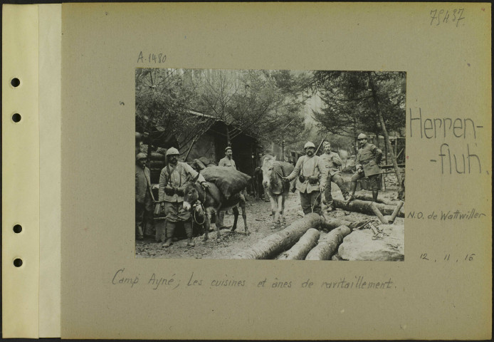 Herrenfluh (Nord-ouest de Wattwiller). Camp Ayné ; les cuisines et ânes de ravitaillement