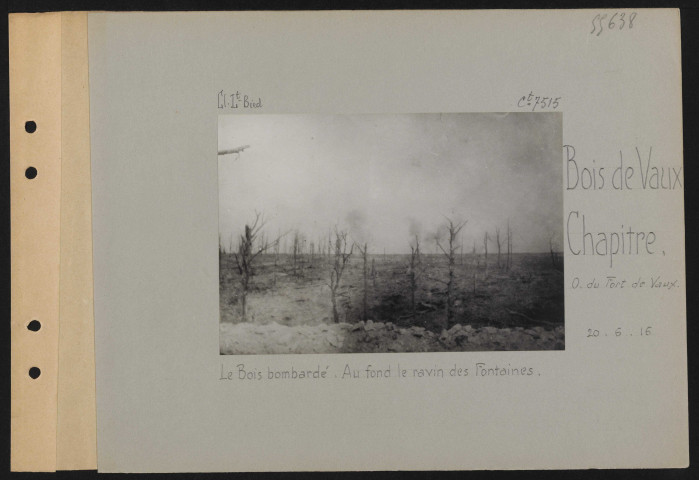 Bois de Vaux-Chapitre (ouest du Fort de Vaux). Le bois bombardé. Au fond, le ravin des Fontaines