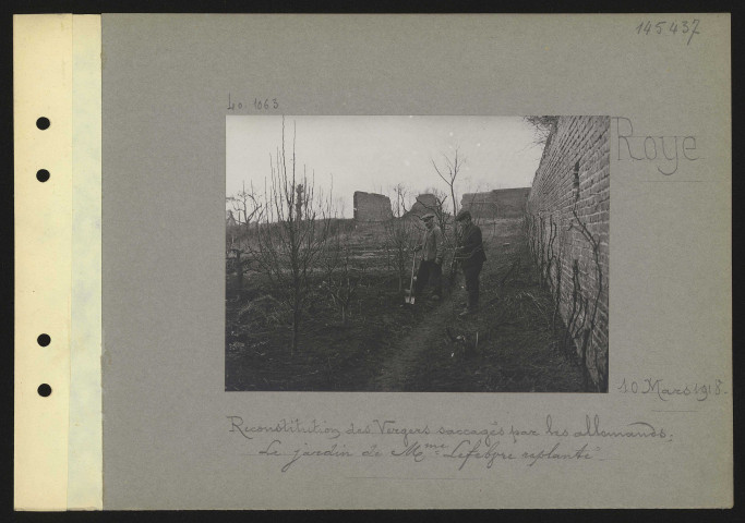 Roye. Reconstitution des vergers saccagés par les Allemands ; le jardin de madame Lefebvre replanté