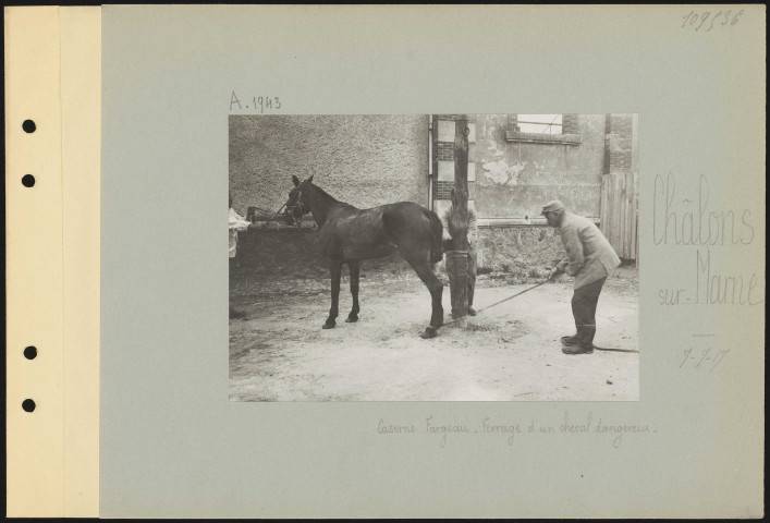 Châlons-sur-Marne. Caserne Fargeau. Ferrage d'un cheval dangereux