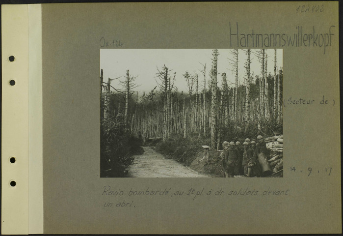 Hartmannswillerkopf (Secteur de). Ravin bombardé, au premier plan à droite soldats devant un abri