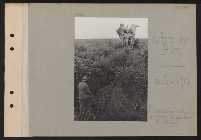 Arbre de Bitry. Observatoire d'artillerie ; au premier plan, boyau d'accès à l'arbre