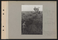 Arbre de Bitry. Observatoire d'artillerie ; au premier plan, boyau d'accès à l'arbre