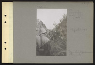 Curlu (près). Tranchée et prisonniers allemands