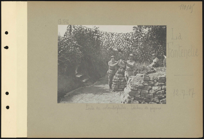 La Fontenelle. Poste de colombophiles. Lâcher de pigeons