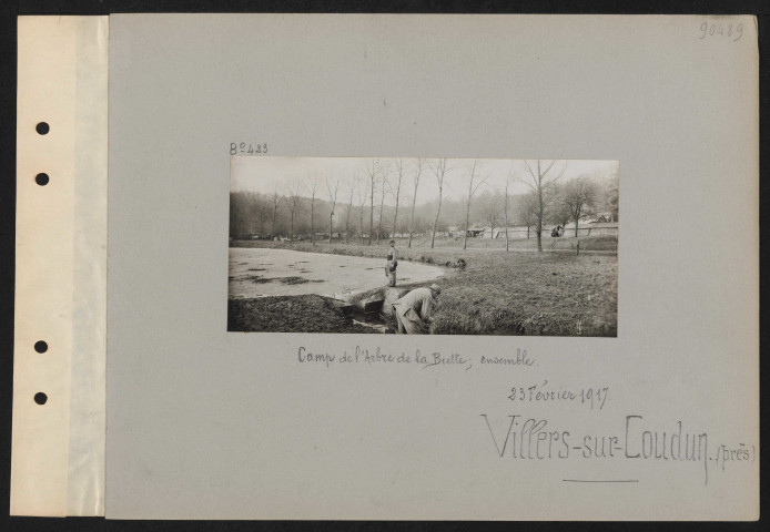 Villiers-sur-Coudun (près). Camp de l'arbre de la butte ; ensemble