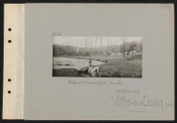 Villiers-sur-Coudun (près). Camp de l'arbre de la butte ; ensemble