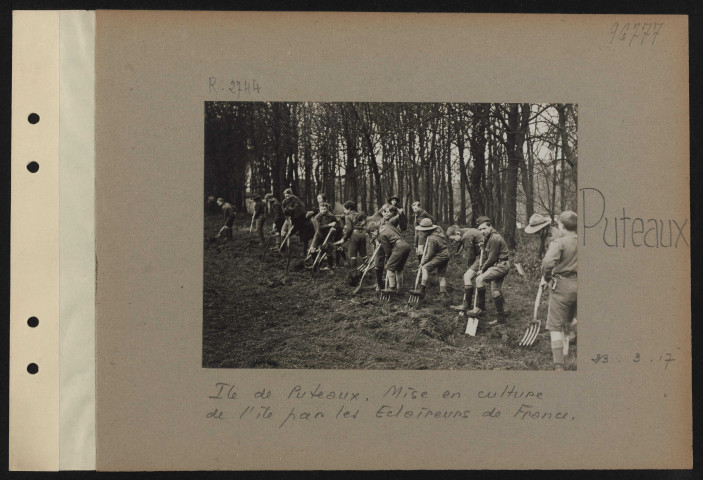 Puteaux. Ile de Puteaux. Mise en culture de l'ile par les éclaireurs de France