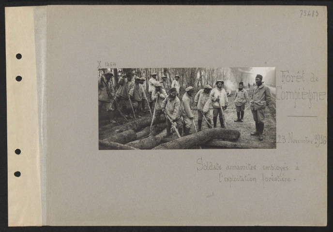 Forêt de Compiègne. Soldats annamites employés à l'exploitation forestière