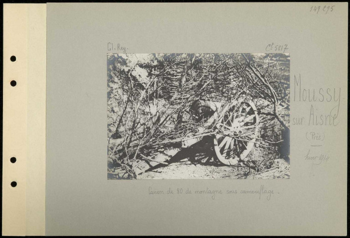 Moussy-sur-Aisne (près). Canon de 80 de montagne sous camouflage