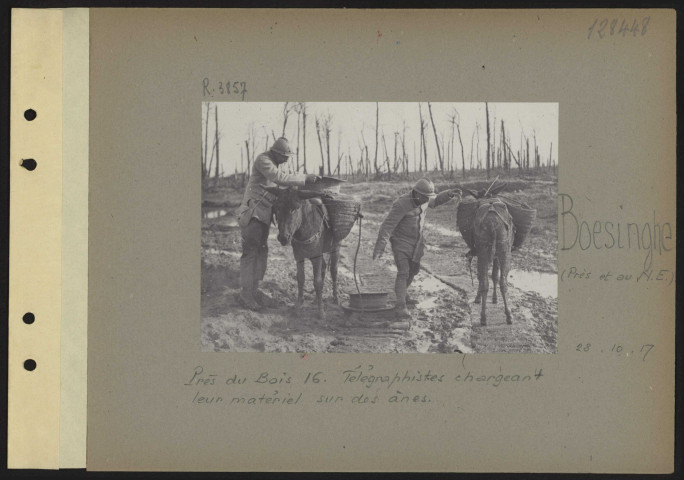 Boesinghe (près et au nord-est). Près du Bois 16. Télégraphistes chargeant leur matériel sur des ânes