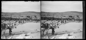 [Paysage. Chevaux]