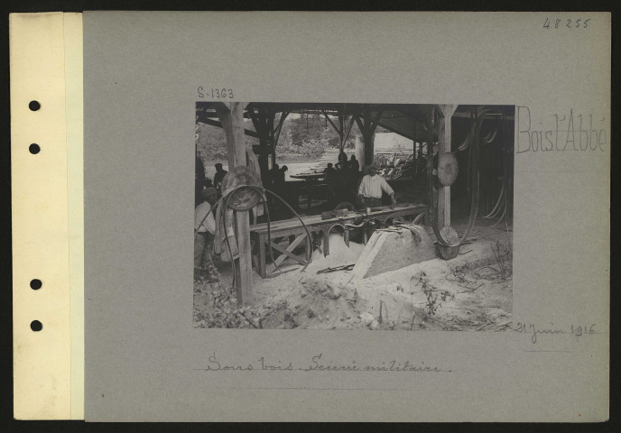 Bois l'Abbé. Sous-bois. Scierie militaire