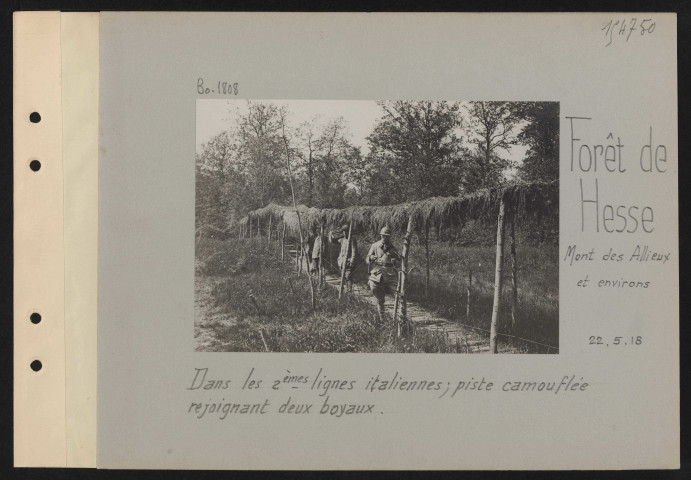 Forêt de Hesse, Mont des Allieux et environs. Dans les deuxièmes lignes italiennes ; piste camouflée réjoignant deux boyaux