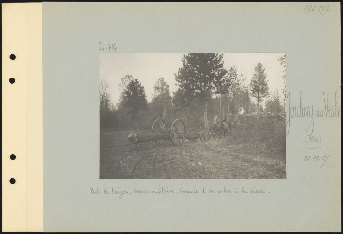 Jonchery-sur-Vesle (près). Route de Muizon. Scierie militaire. Amenée d'un arbre à la scierie
