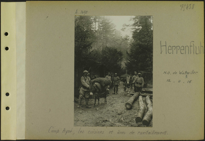 Herrenfluh (Nord-ouest de Wattwiller). Camp Ayné ; les cuisines et ânes de ravitaillement