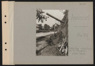 Avricourt. Destructions systématiques par les Allemands : arbres coupés