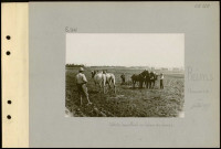 Reims (Environs de). Soldats travaillant au labour des champs