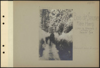 Bois de Senones Mère Henry (nord-ouest de Senones -(près)-). Tranchée sous la neige