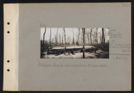 Forêt d'Ourscamp (partie sud). Ambulance allemande : abris en ciment armé et troncs d'arbres