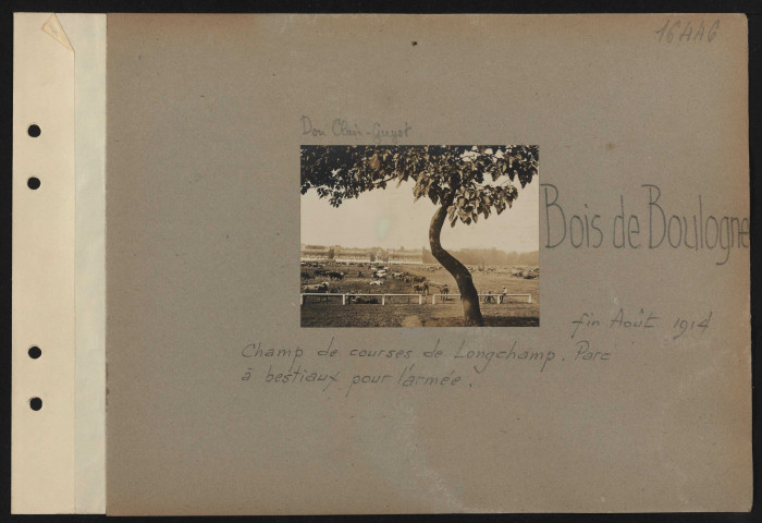 Bois de Boulogne. Champ de courses de Longchamp. Parc à bestiaux pour l'armée
