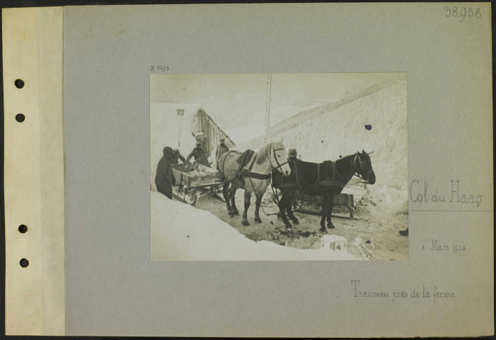 Col du Haag. Traineau près de la ferme