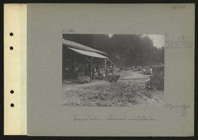 Bois l'Abbé. Sous-bois : scierie militaire