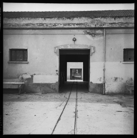 Reportage sur le domaine de la Trappe, propriété nationalisée de la famille Borgeaud à Staouëli, près d'Alger (suite).3
