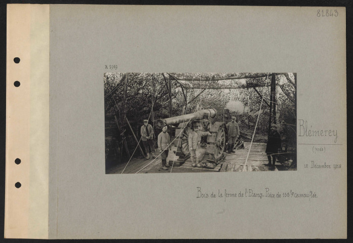Blémerey (près). Bois de la ferme de l'Étang. Pièce de 155 long camouflée