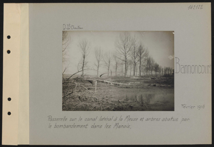 Bannoncourt. Passerelle sur le canal latéral à la Meuse et arbres abattus par le bombardement dans les marais