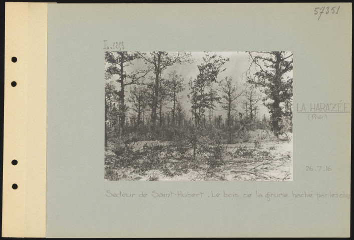La Harazée (près). Secteur de Saint-Hubert. Le Bois de la Grurie haché par les obus