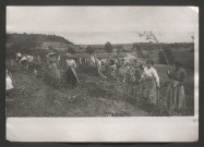 Fabrication de claies et gabions