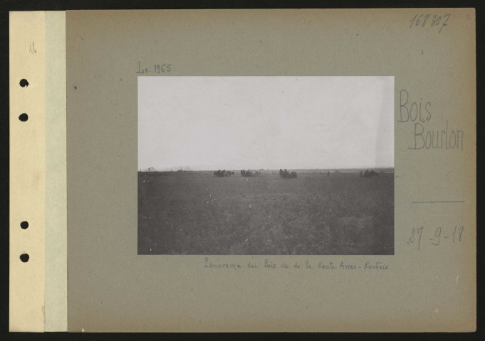 Bois Bourlon. Panorama du bois vu de la route Arras-Roubaix