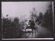 Sibérie. Téléga ou voiture russe servant à aller d'un village à un autre