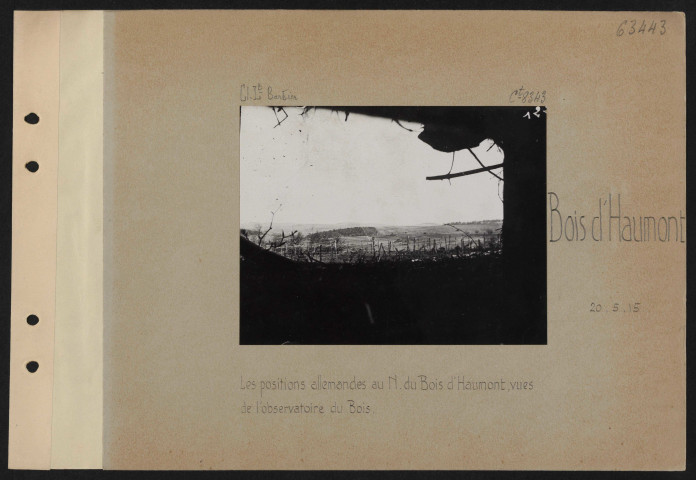 Bois d'Haumont. Les positions allemandes au nord du Bois d'Haumont, vues de l'observatoire du bois
