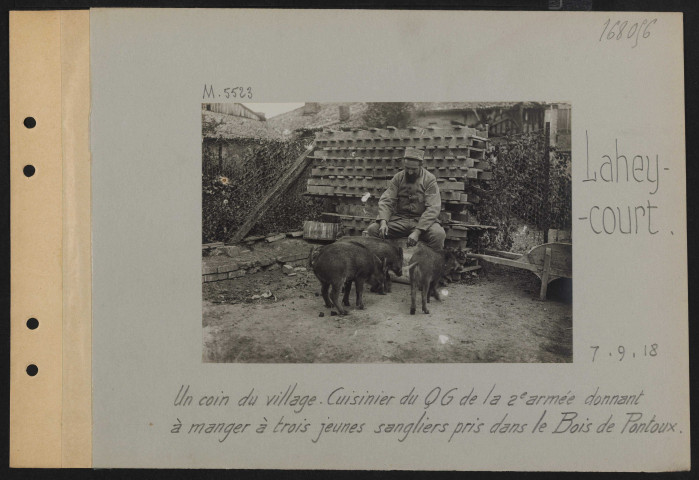 Laheycourt. Un coin du village. Cuisinier du QG de la 2e armée donnant à manger à trois jeunes sangliers pris dans le bois de Pontoux