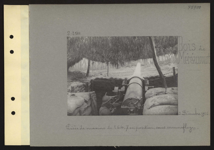 Bois de Méréaucourt. Pièce de marine de 164,7 en position, sous camouflage
