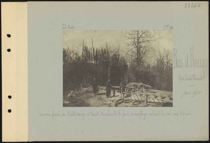 Bois d'Hauzy (ouest de Saint-Thomas). La voie ferrée de Challerange à Sainte-Menehould. Au fond, camouflage cachant la voie vers l'Ouest