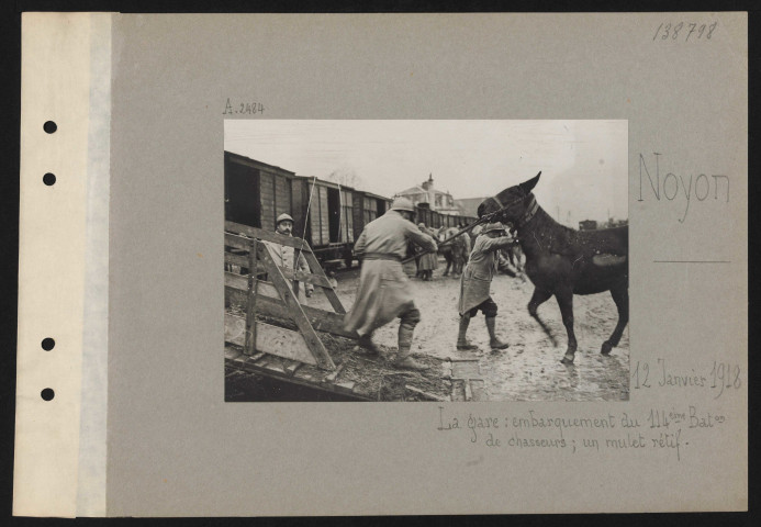 Noyon. La gare : embarquement du 114e bataillon de chasseurs à pied ; un mulet rétif