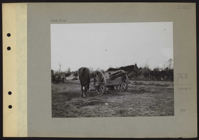 S.l. 76,8. 3 pouces 3