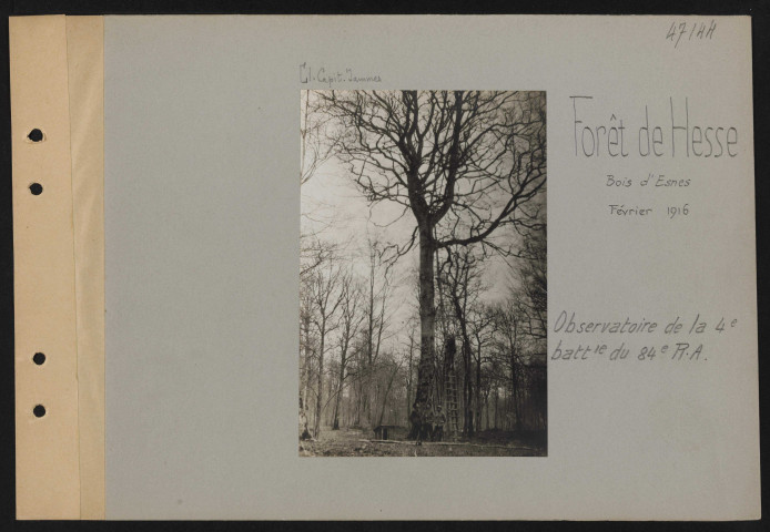 Forêt de Hesse, Bois d'Esnes. Observatoire de la 4e batterie du 84e RA