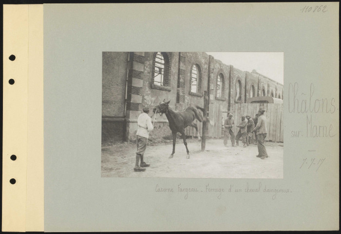 Châlons-sur-Marne. Caserne Fargeau. Ferrage d'un cheval dangereux