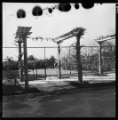 Reportage sur le domaine de la Trappe, propriété nationalisée de la famille Borgeaud à Staouëli, près d'Alger (suite).3