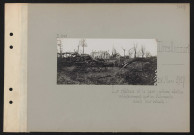 Deslincourt. Le château et le parc : arbres abattus volontairement par les Allemands avant leur retraite