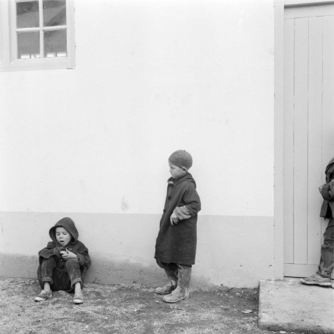 Orphelinat des enfants des Chouhadas (martyrs de la guerre d'Indépendance). 5