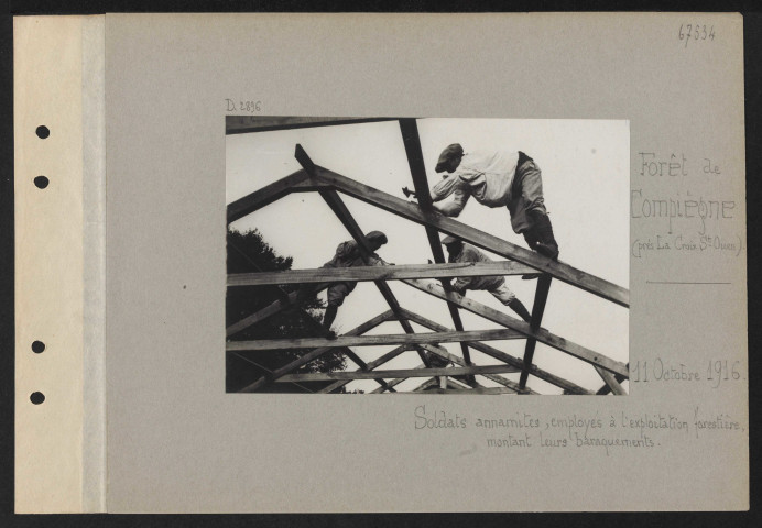 Forêt de Compiègne (près La Croix Saint-Ouen). Soldats annamites, employés à l'exploitation forestière, montant leurs baraquements